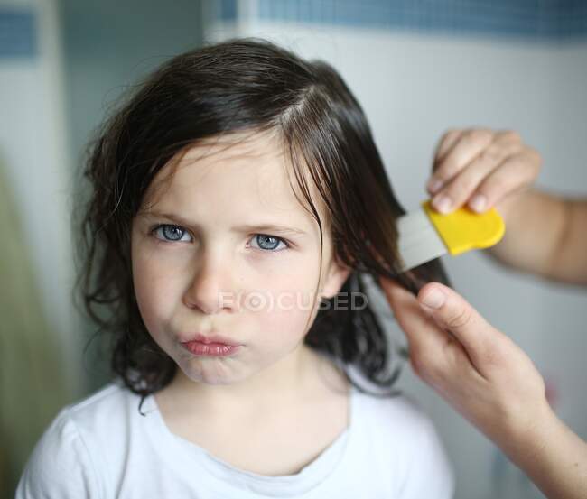 Una madre pasa un peine de piojos en el pelo de su niña de 6 años - foto de stock