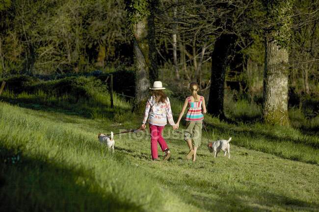 Дві молоді дівчата гуляють зі своїми собаками в сільській місцевості — стокове фото