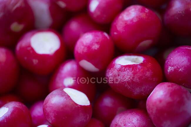 Close-up de rabanetes rosa — Fotografia de Stock