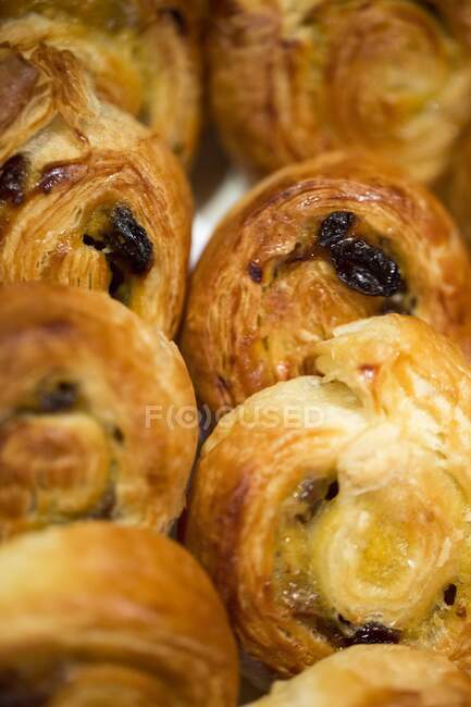 Close-up of buns with raisins — Stock Photo