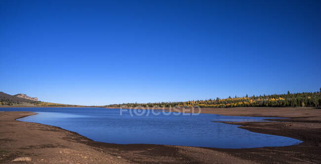 États-Unis, UTAH, Ashley National Forest, trembles à l'automne, Long Park Reservoir — Photo de stock