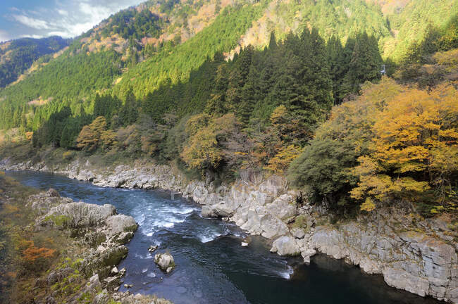 Japon, région de Shiragawa Go, paysage des Alpes japonaises — Photo de stock