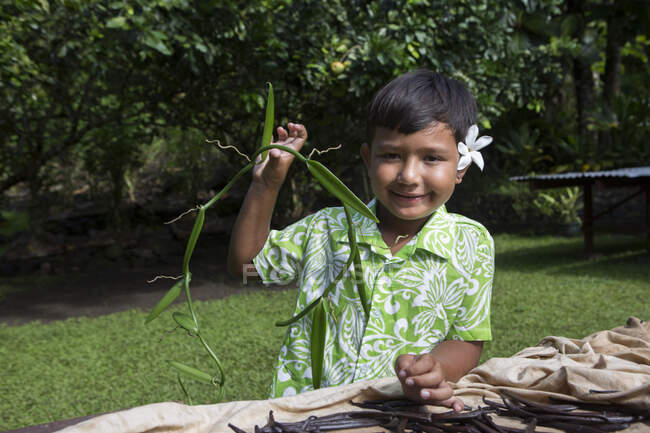 Manarii, child of 5 years old showing the liana on which vanilla of Tahiti grows, place called 