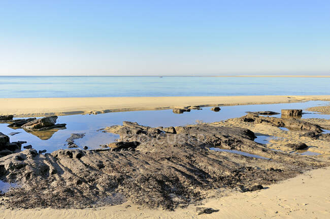 France, Sud-Ouest de la France, Océan Atlantique, pierres dures exhumées par érosion — Photo de stock