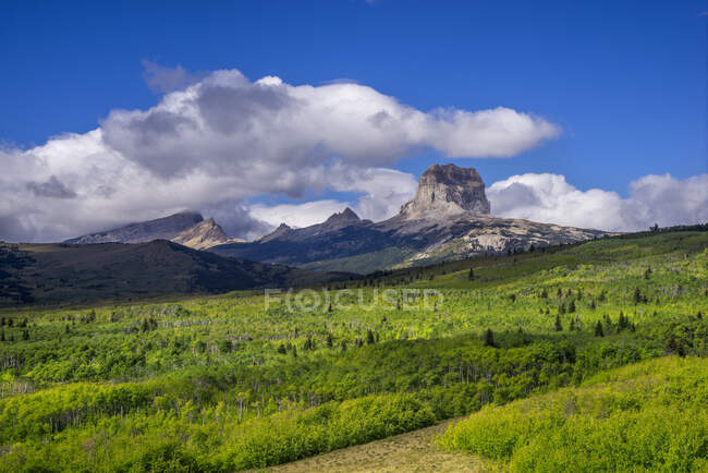 Estados Unidos, Montana, Glacier National Park, Chief Mountain, East of the Park - foto de stock