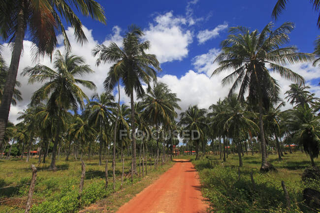 Brasil, Ceara, icaraizinho de amontada. Road in the village. — Stock Photo