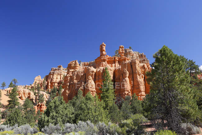 Bryce Canyon area with sandstone rock formations, Utah, Estados Unidos da América — Fotografia de Stock