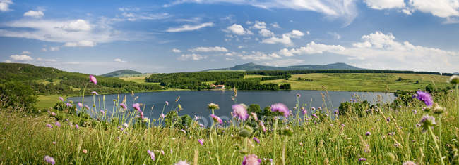 Francia, Auvernia-Ródanos-Alpes, Alto Loira, lago de Saint-Front y prado floreciente - foto de stock