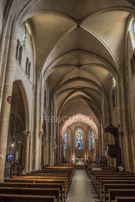 França, Ile de France, Paris, XVIII distrito, a nave de São Pedro de Montmartre — Fotografia de Stock