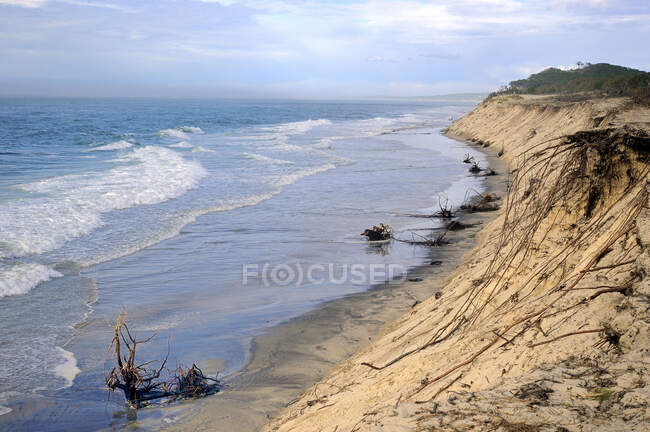 Francia, Francia sud-occidentale, baia di Arcachon, erosione delle dune dopo una tempesta — Foto stock