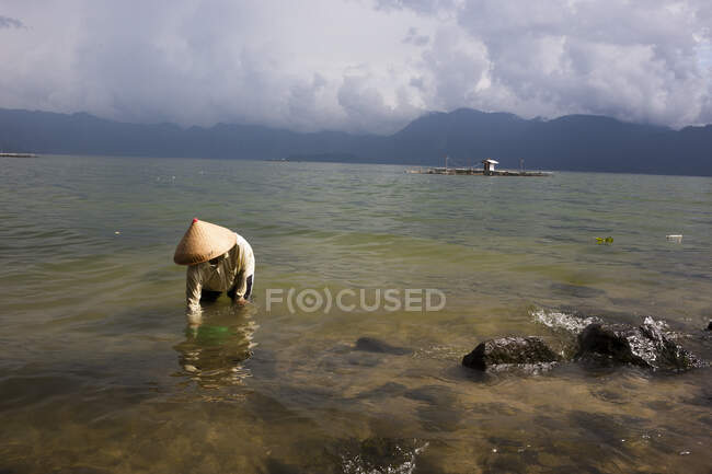 Pesca con conchiglia piccola nel lago Danau Maninjau, Sumatra, Indonesia — Foto stock