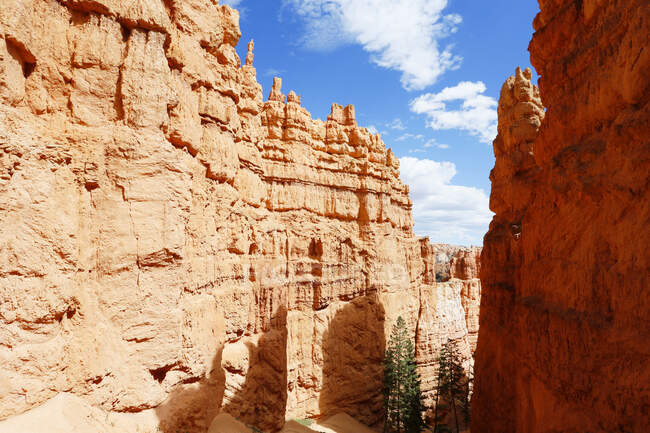 USA. Utah. Bryce Canyon. Sunset Point. Hiking Navajo Loop Trail. The bottom of the canyon. — Stock Photo