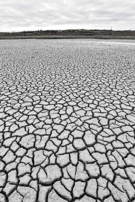 Нормандия. Манш. Монмартен на море. Земля треснула в море из-за жары 2015 года. Черно-белый. — стоковое фото