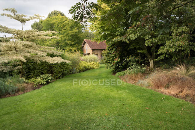 Mixed borders with flowers in a country garden — Stock Photo