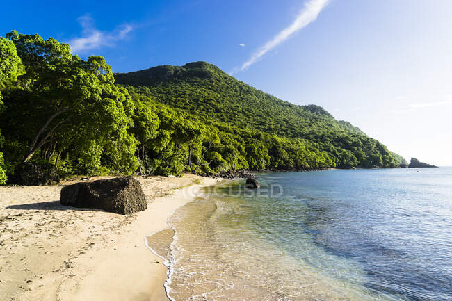 Playa con mar y naturaleza, Chatham Bay, Union, St-Vincent, San Vicente y las Granadinas, Antillas Menores, Indias Occidentales, Islas Barlovento, Caribe, América Central - foto de stock