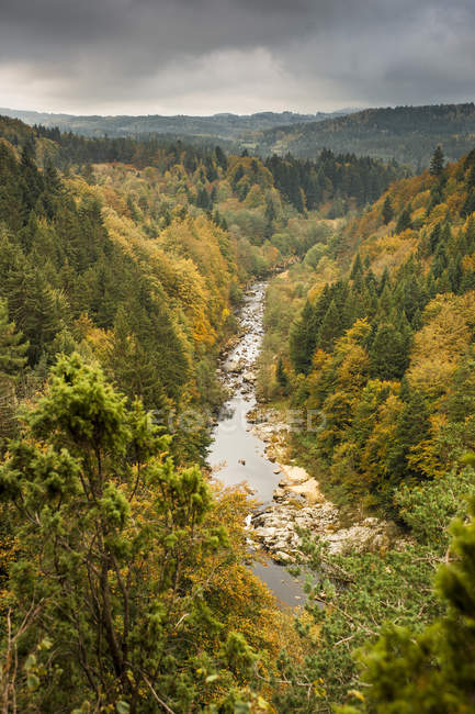 France, Auvergne-Rhones-Alpes, Haute-Loire, view of Lignon river in autumn — Stock Photo