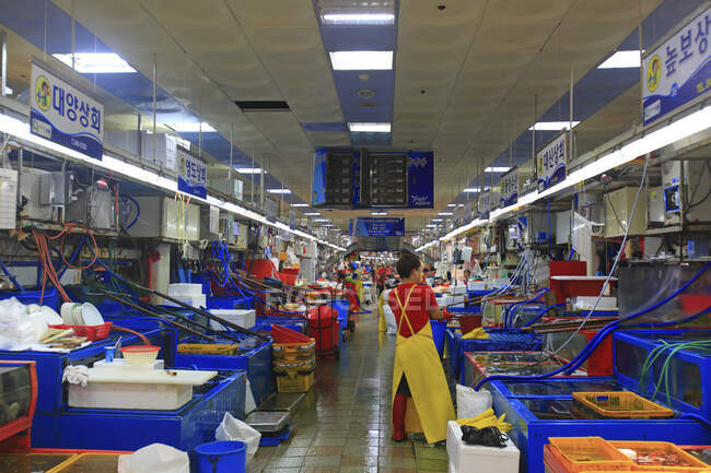 Corea del Sur, Busan. Mercado de pescado. Mercado de Jagalchi - foto de stock