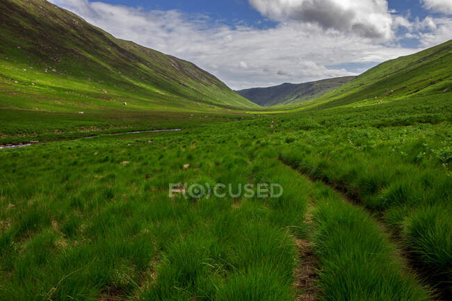 Escócia, Ilha de Arran, Glen Rosa — Fotografia de Stock