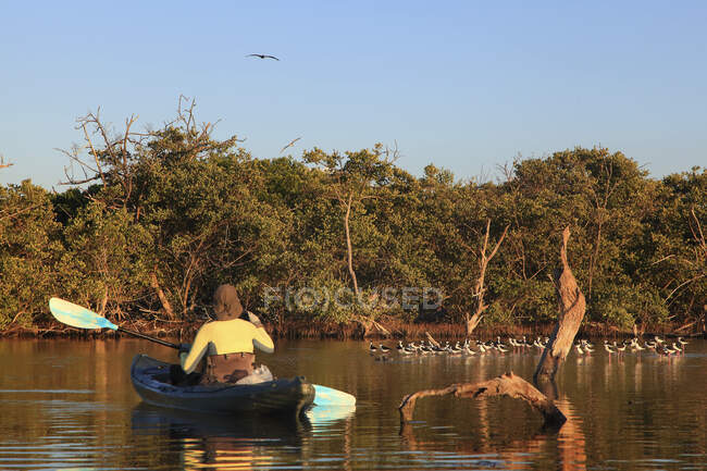 Venezuela, Île Margaita, Parc national, La Laguna de la restinga — Photo de stock