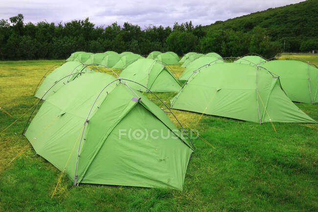 Camper tents in green forest — Stock Photo