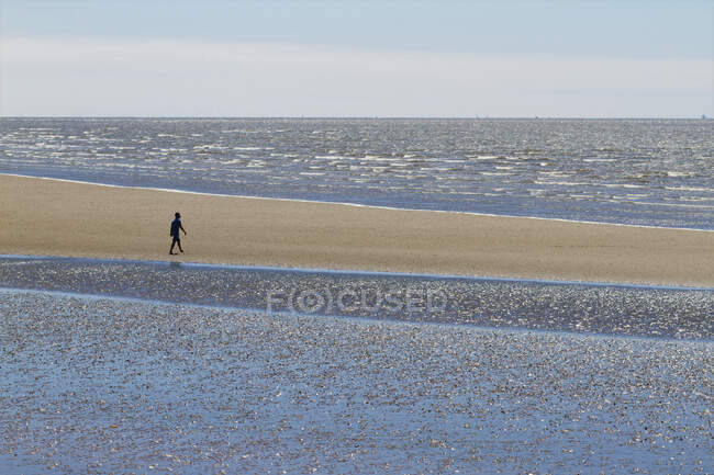 França, Saint-Brevin, o estuário do Loire, um caminhante na maré baixa. — Fotografia de Stock