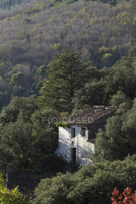 Francia, Saint-Pons de Thomieres, ruina en la montaña. - foto de stock