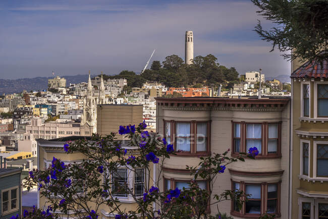США, Калифорния, Сан-Франциско, вид на башню Койт с Русского холма — стоковое фото