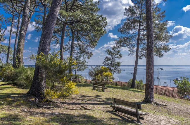South West France, Arcachon Bay, Claouey village, tview of the Bay from the dune — Stock Photo