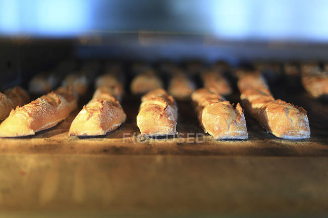 Хлеб в пекарне Франции, избирательный фокус — стоковое фото