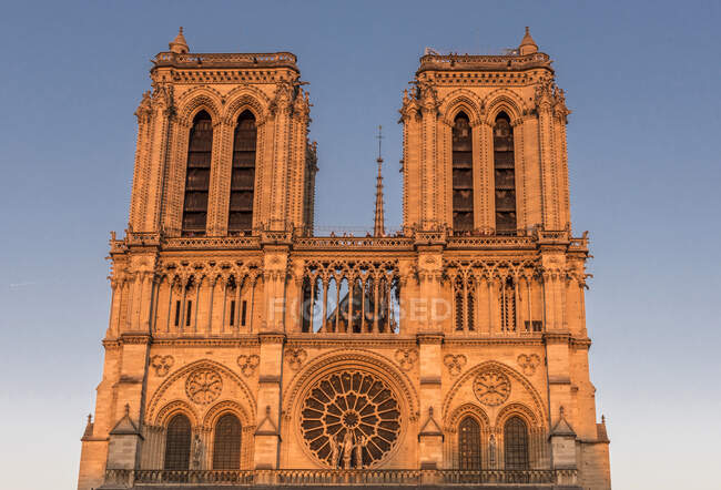 Francia, Ile de France, Parigi, quarto distretto, primo piano sulla vista frontale di Notre-Dame la sera — Foto stock