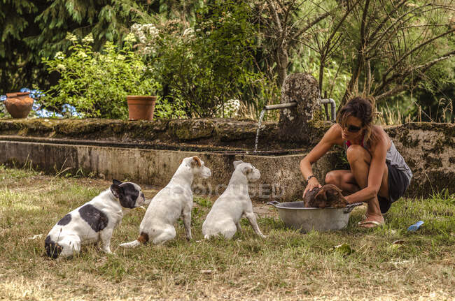 Young women washing her dogs in a basin — Stock Photo