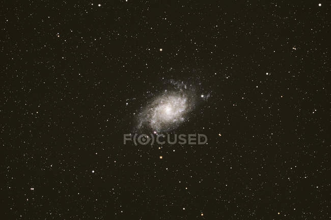 Triangulum Constellation de Galaxyine Triangulum, préservé sous la pollution lumineuse du ciel — Photo de stock