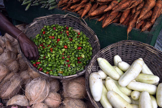 Sri Lanka. Pueblo de Hulu Ganga. Vendedor de verduras, zanahorias, nabo.... - foto de stock