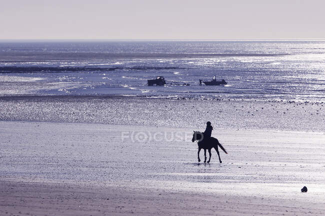 Normandía. Manche. Annoville sur Mer. Mujer joven cabalgando en la playa en la marea alta durante el período de Navidad. - foto de stock