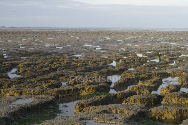 França, Noroeste da França, Les Moutiers-en-Retz, lama descoberta esticar na maré baixa — Fotografia de Stock