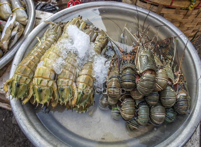 Crustáceos en el mercado callejero en el distrito chino, Myanmar, Yagon - foto de stock