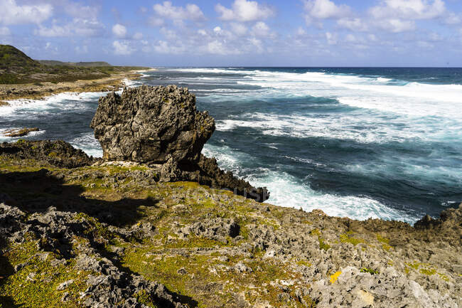 Vagues et rocs au vent, Morne Rita, Capesterre, Marie Galante, Guadeloupe — Photo de stock