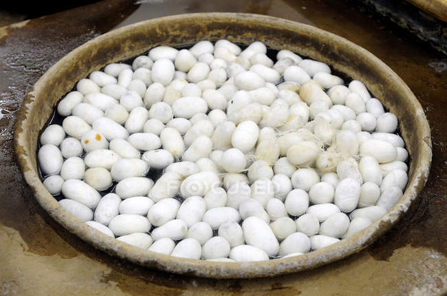 Close-up of silkworm cocoons at Turkey — Stock Photo