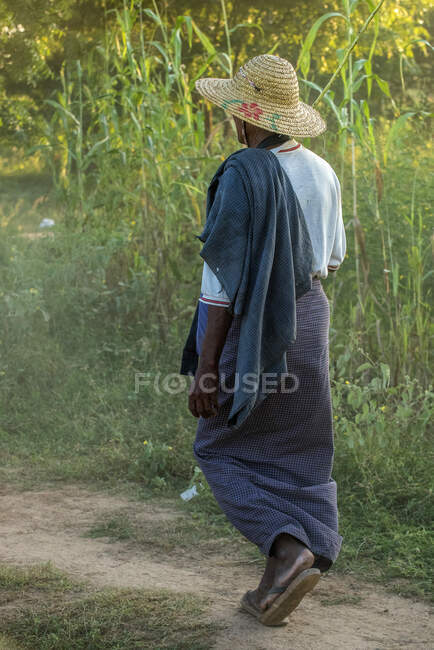 Myanmar, Mandalay region, Old Bagan, farmer on a path — Stock Photo