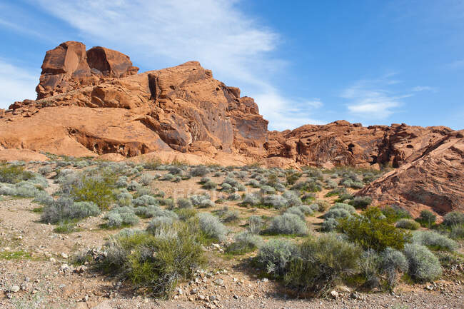 USA, Nevada State, Valley of Fire State Park — Stockfoto