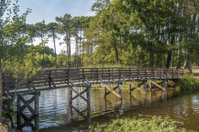 France, Landes, wooden footbridge on the Sainte Eulalie stream that connects Aureilhan lake and Biscarosse-Parentis lake — Stock Photo