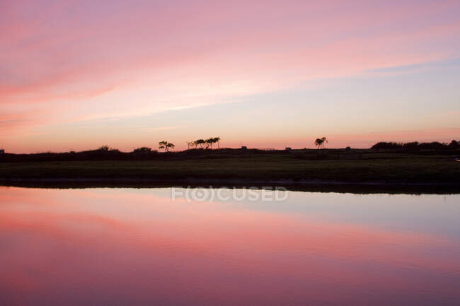 France, Les Moutiers en Retz, pond at dusk. — стокове фото