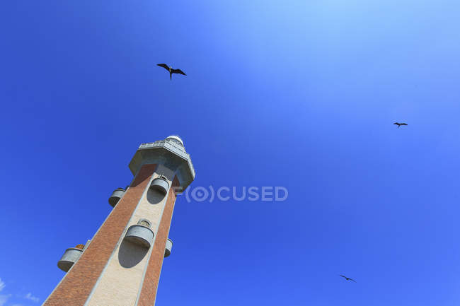 Vögel fliegen am blauen Himmel in der Nähe des Leuchtturms — Stockfoto