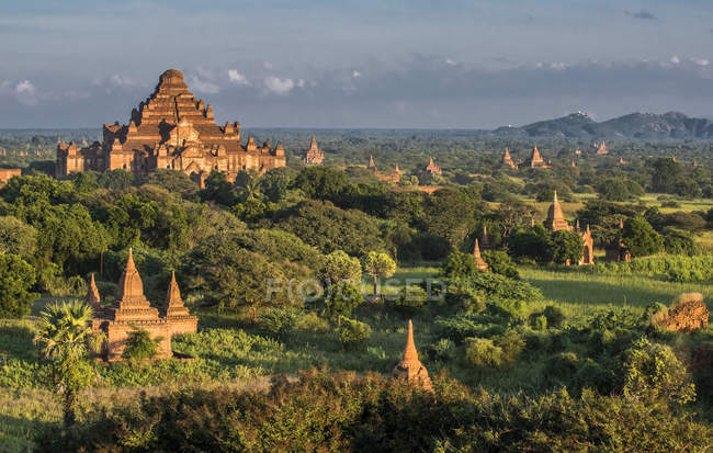 Myanmar, zona de Mandalay, sitio arqueológico de Bagan, templo Dhammayan Gyi entre árboles verdes - foto de stock