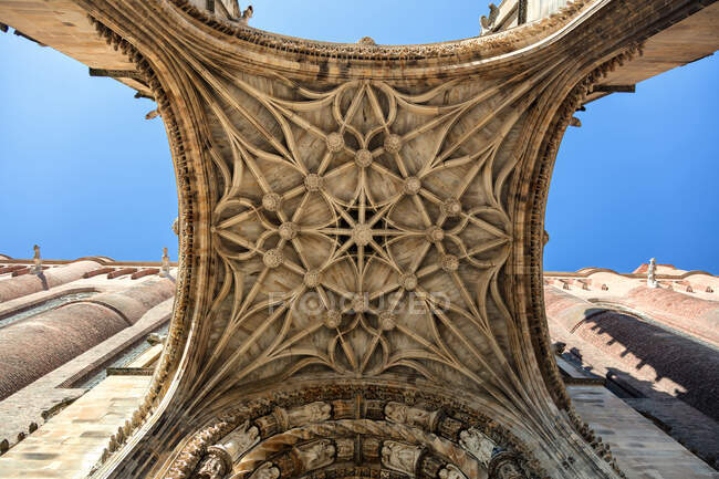 Cathedral Saint-Cecile, Albi, Francia — Foto stock
