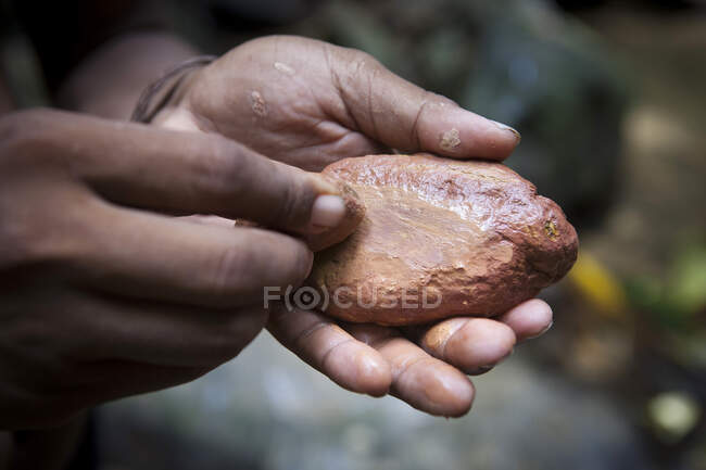 Man rubbing a stone to extract orange pigment used as make-up in traditional festivals, Bukit Lawang Forest, Sumatra, Indonesia — Stock Photo