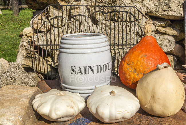 France, Gironde, Entre-deux-Mers, pattypan squashes, pumpkin and pot in which lard (