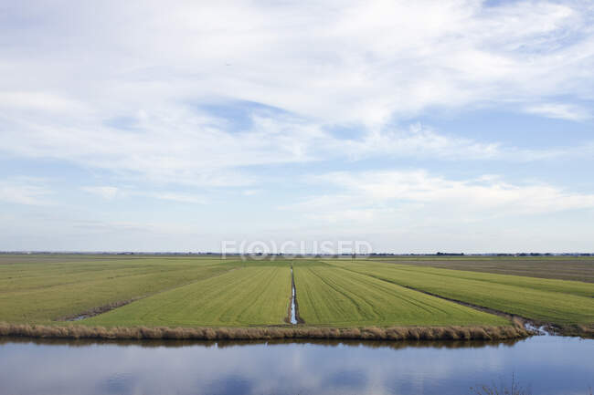 França, Vendee, Bouin, polder. — Fotografia de Stock