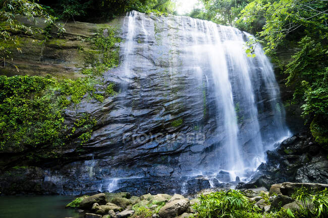 Водопад Конкорд, Гренада, Вест-Индия — стоковое фото