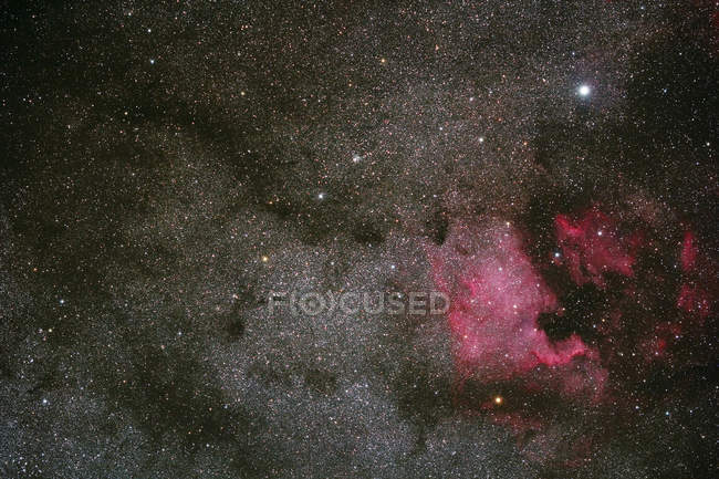 Il cuore nella costellazione Cygnus e Nord America nebulosa e Pelican, conservato sotto l'inquinamento luminoso del cielo — Foto stock